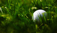 Sample image Sample image